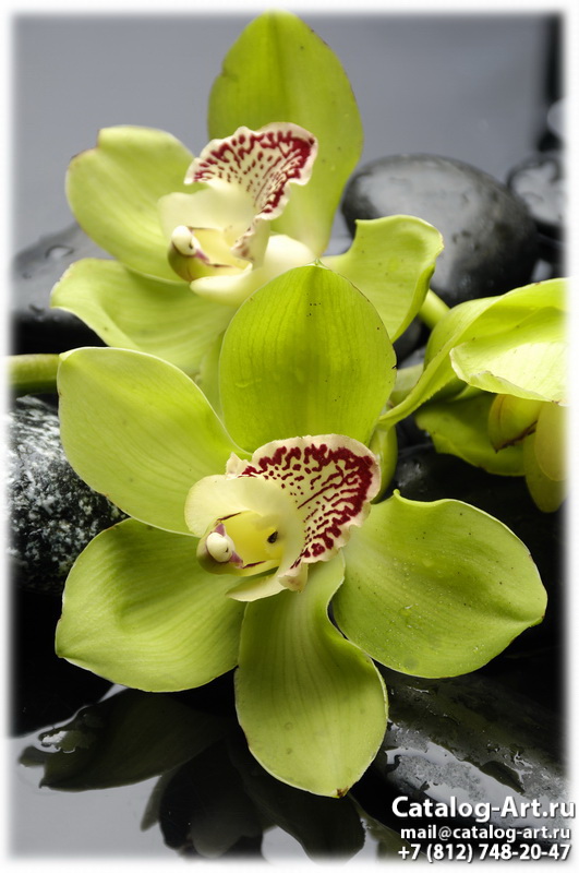 картинки для фотопечати на потолках, идеи, фото, образцы - Потолки с фотопечатью - Желтые и бежевые орхидеи 27